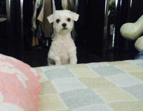 (주)콩부인 이미지