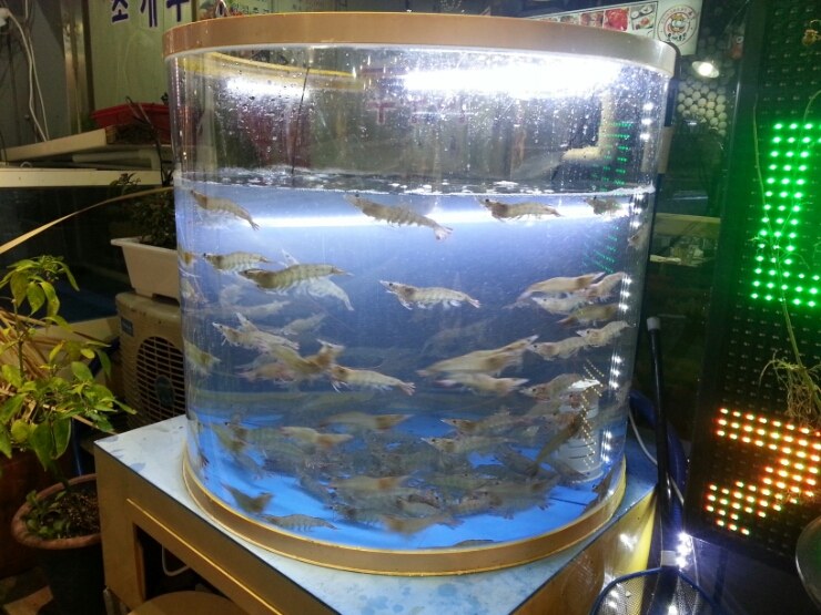 별난해물전골칼국수 이미지