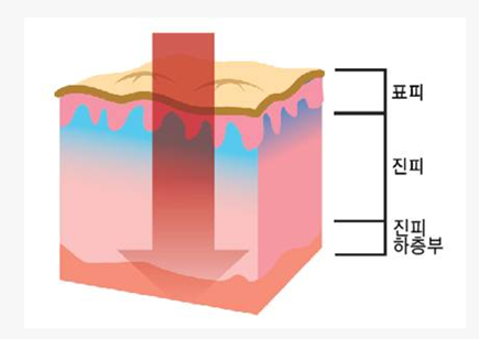 아름다운미의원 이미지