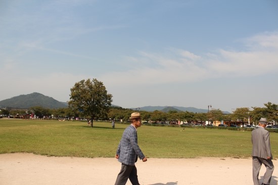 몬스터경주 이미지