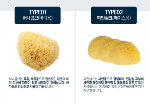 해면 이미지