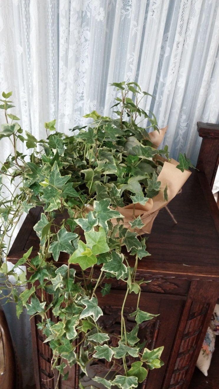 청산화원 이미지