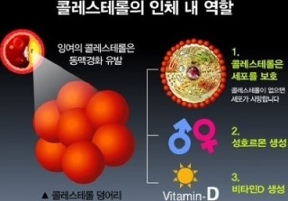 포근한맘요양병원 이미지