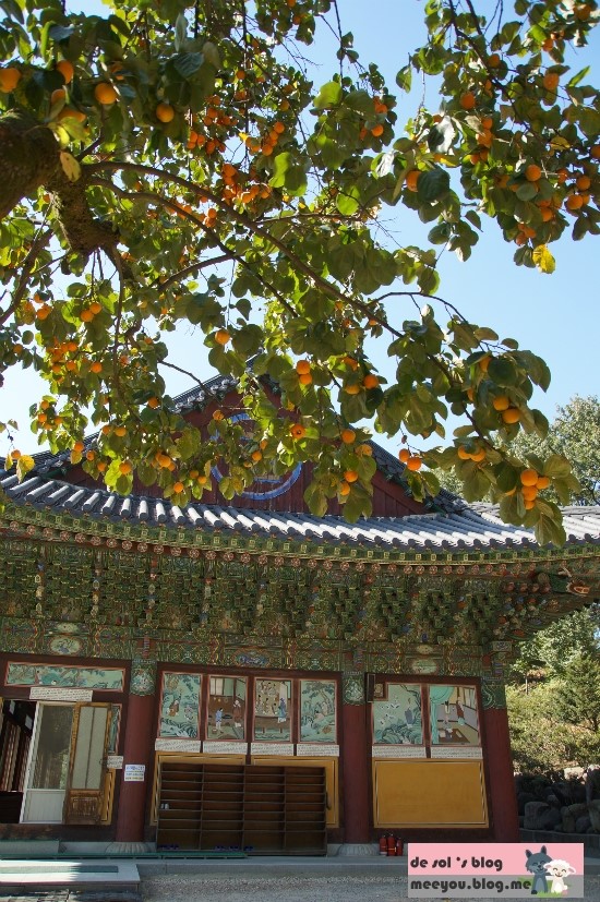 영화사풍경 이미지