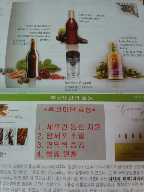 (유)코리아월드 이미지