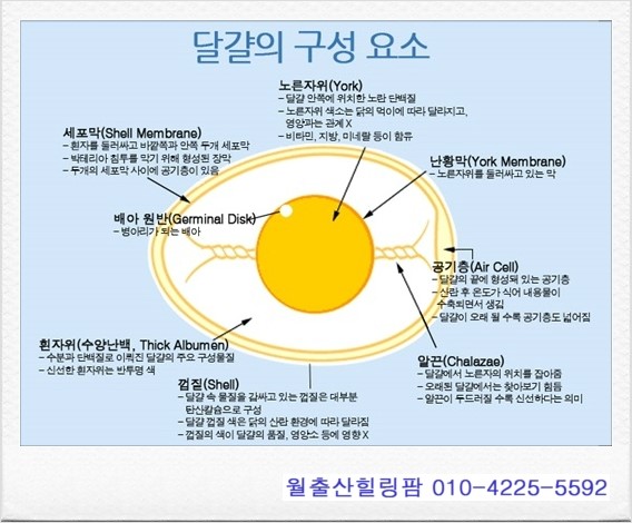 월출산힐링팜 이미지