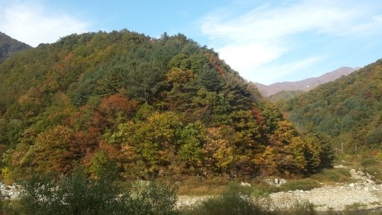 미산분교캠핑장 이미지