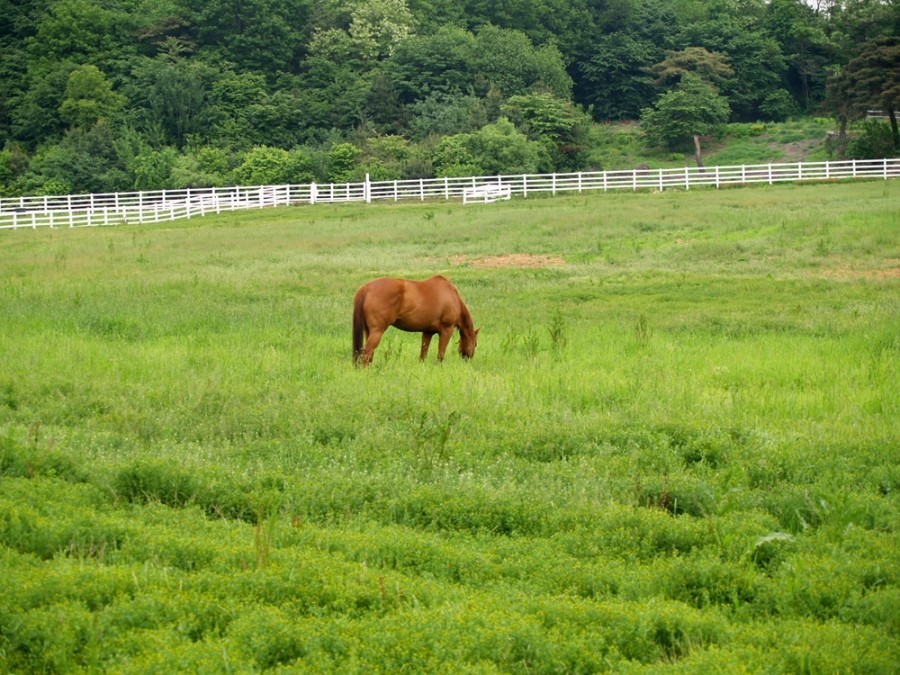 모아맘 이미지