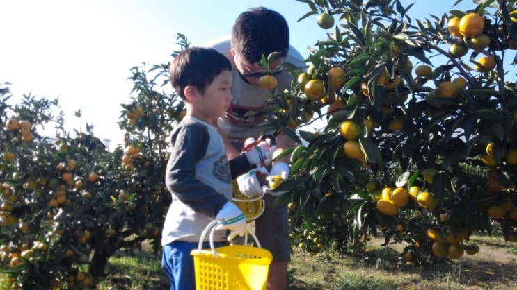한라앤탐 이미지