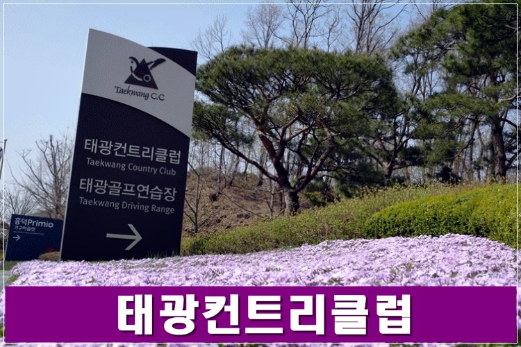 컨츄리보이클럽 이미지