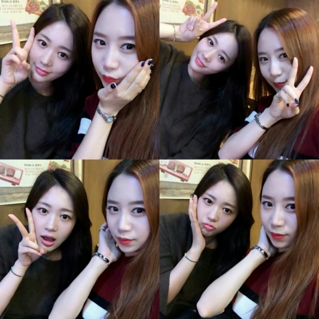 홍가육회 이미지