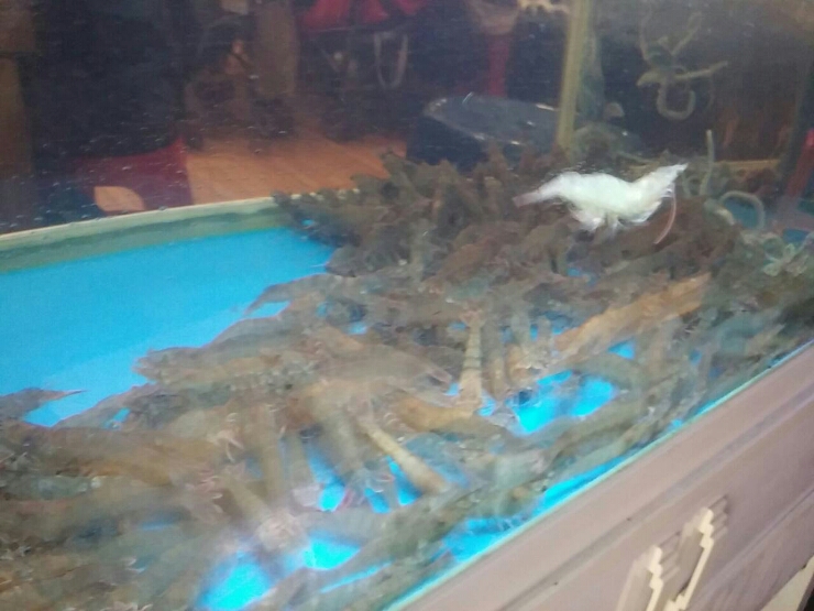 해물포차바다이야기 이미지