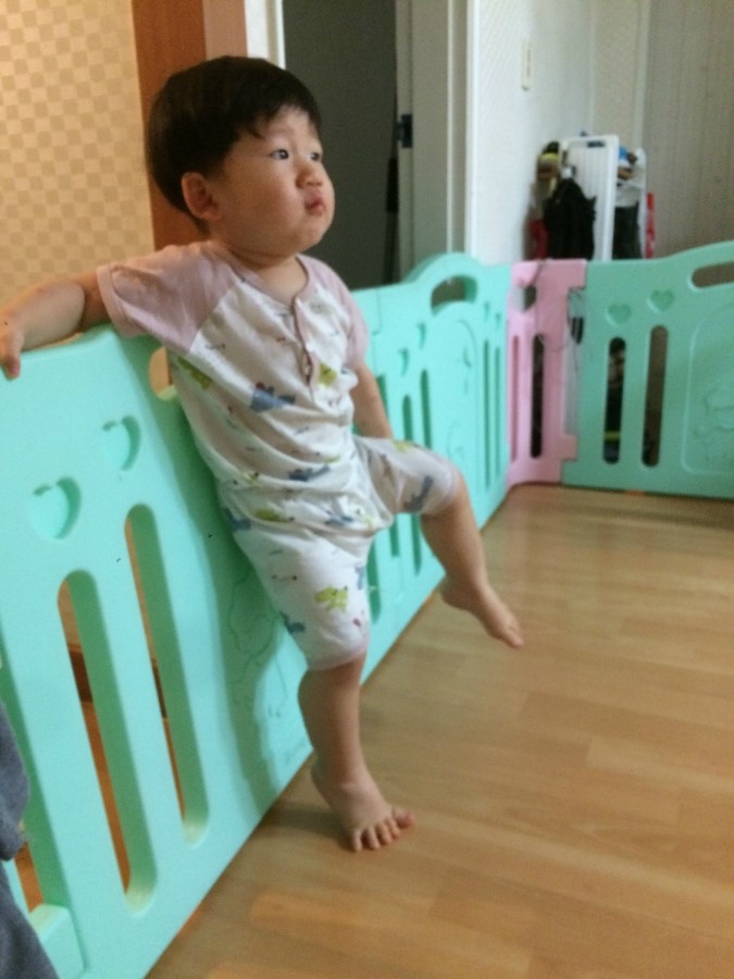 롱다리디스코 이미지