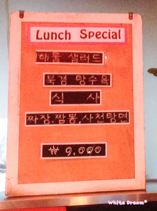 차이넥스 이미지