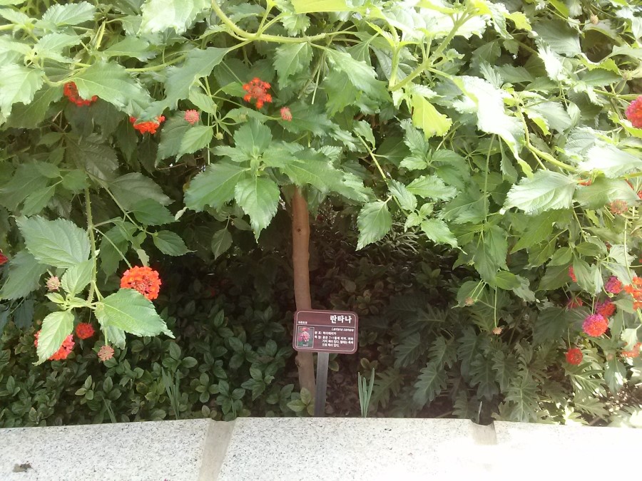 청천농산 이미지