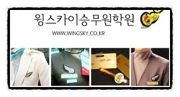 스카이윙 이미지