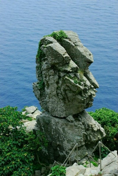 정글투어 이미지