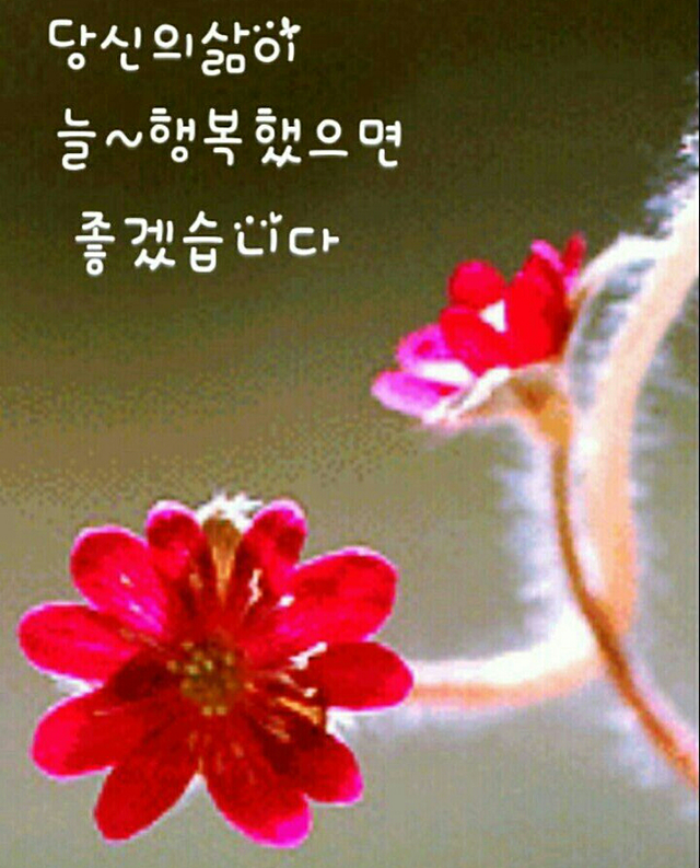 남보현국수 이미지