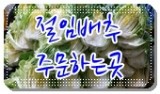 연자연 이미지