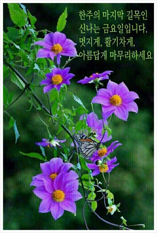 그림문자 이미지