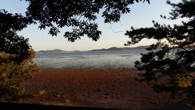 카페더뷰인갤러리 이미지