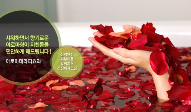 하니아로마 이미지