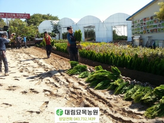 황금농원 이미지