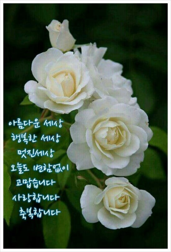 그림문자 이미지