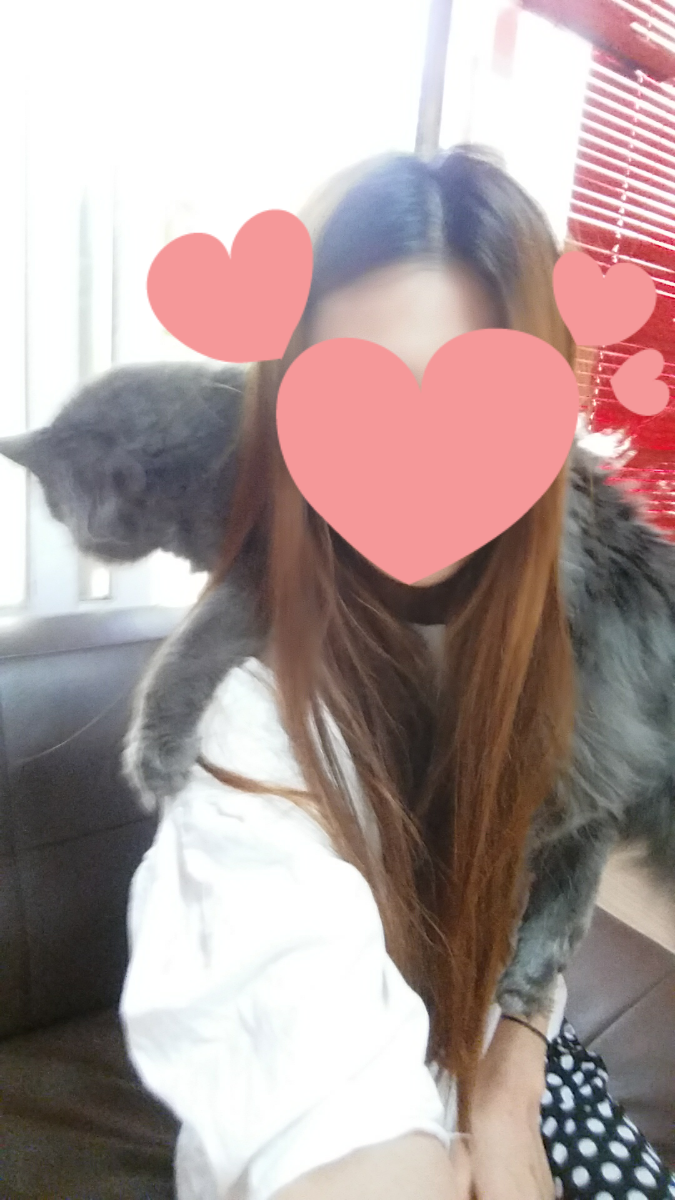 쿤모바일 이미지