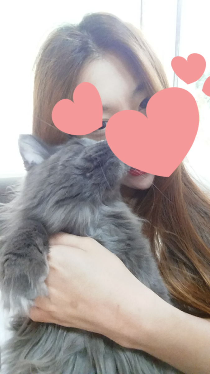 쿤모바일 이미지
