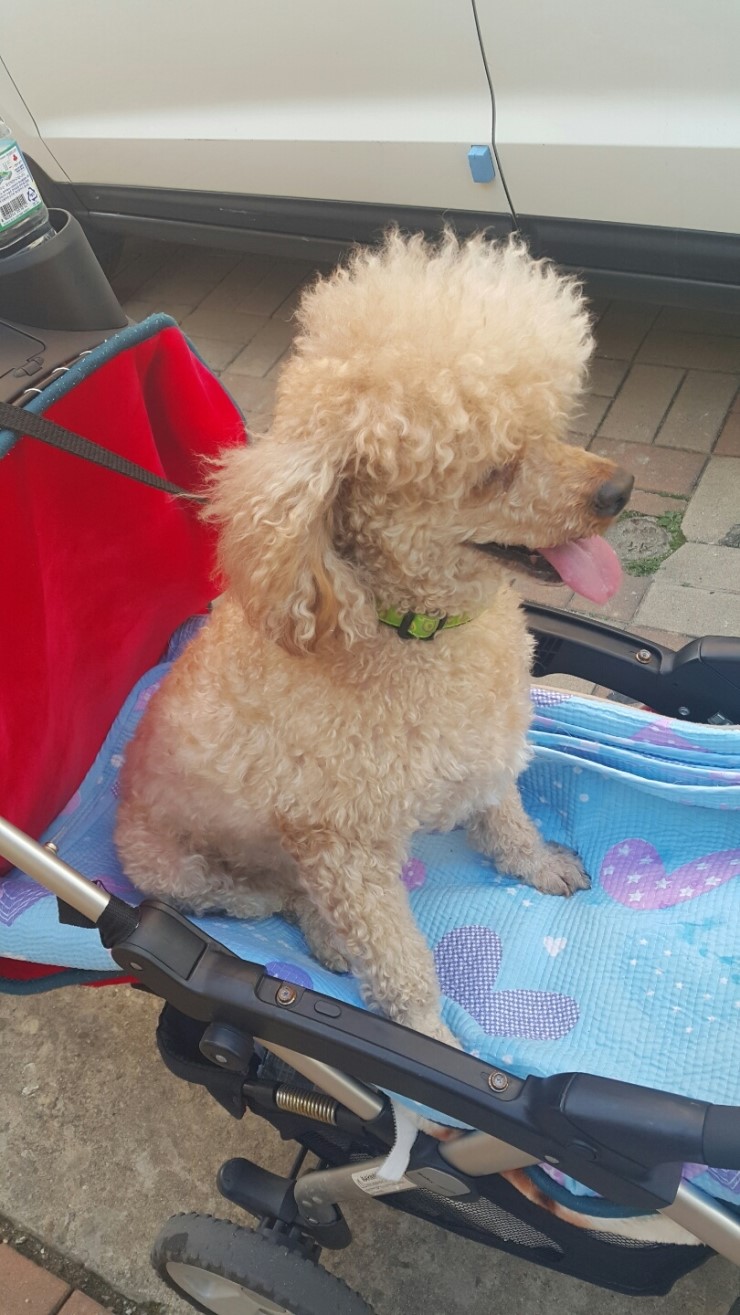 대왕세탁소 이미지