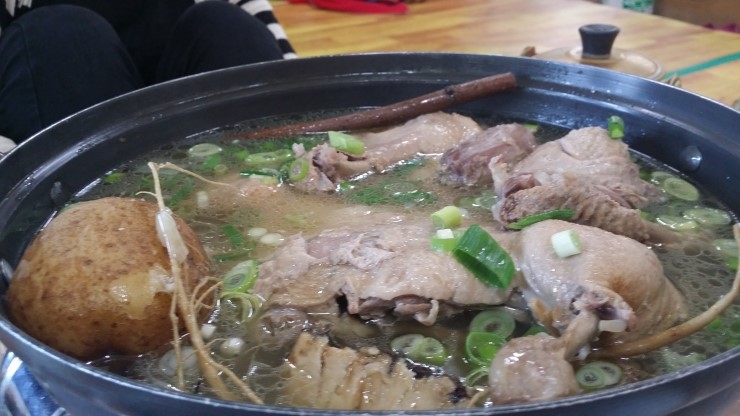 배가네 이미지