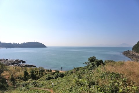 코델리아스파펜션 이미지