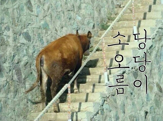 당당한의원 이미지