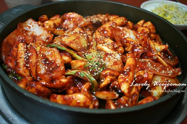 조가네갑오징어 이미지