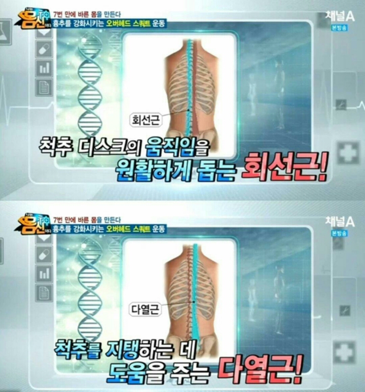 체형교정원 이미지