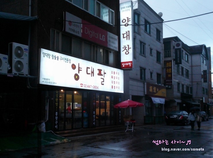양대팔 이미지