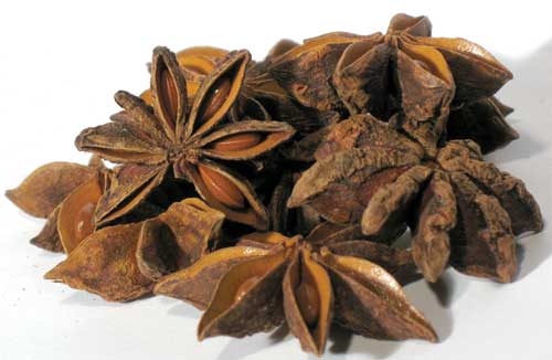 [약선도가]팔각회향(八角茴香 illicium verum Hook)팔각회향 효능/팔각회향 부작용/팔각회향의 성미와 효능 : 네이버 블로그