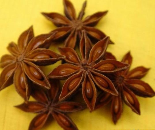 [약선도가]팔각회향(八角茴香 illicium verum Hook)팔각회향 효능/팔각회향 부작용/팔각회향의 성미와 효능 : 네이버 블로그