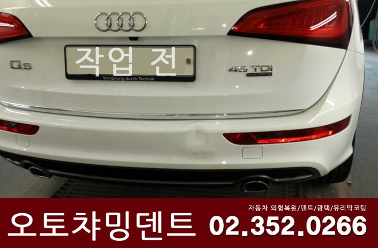 오토덴트칼라 이미지