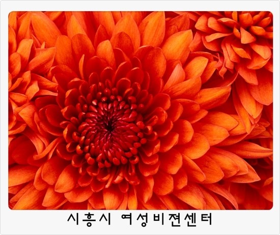 시흥비젼센터 이미지