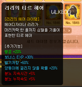 리리헤어 이미지