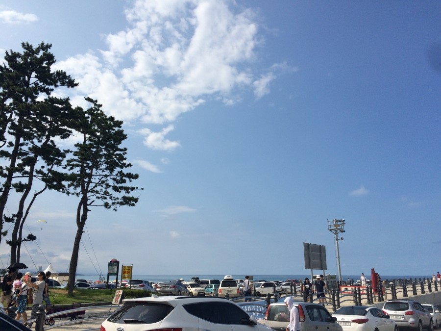 스타벅스강릉중앙점 이미지