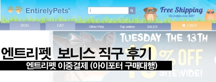 보니즈 이미지