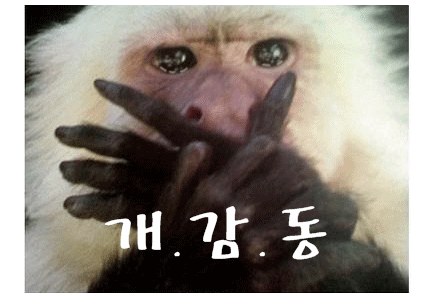 프로손세차 이미지