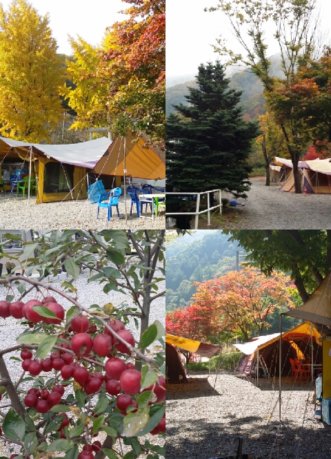 이지캠핑장 이미지