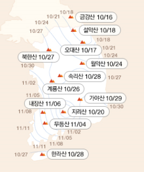 꽃이되는시간 이미지