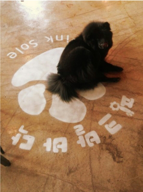 카페도담 이미지