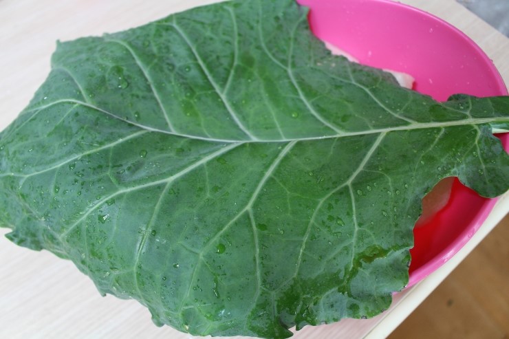 초록녹즙마을 이미지