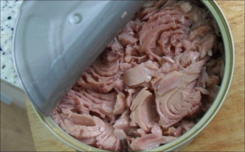 하참치 이미지